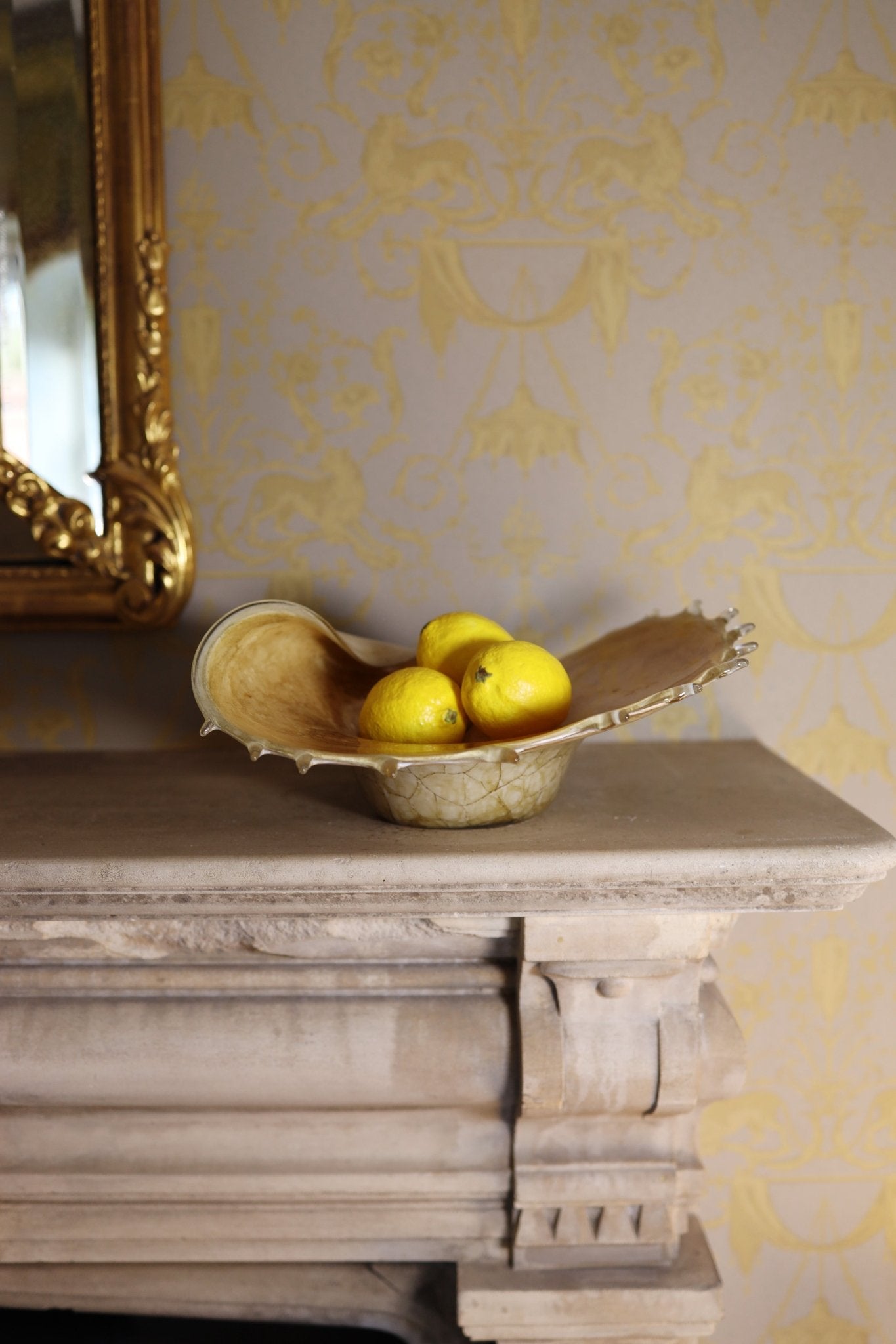 A glass conch shell bowl - Clementine Parker